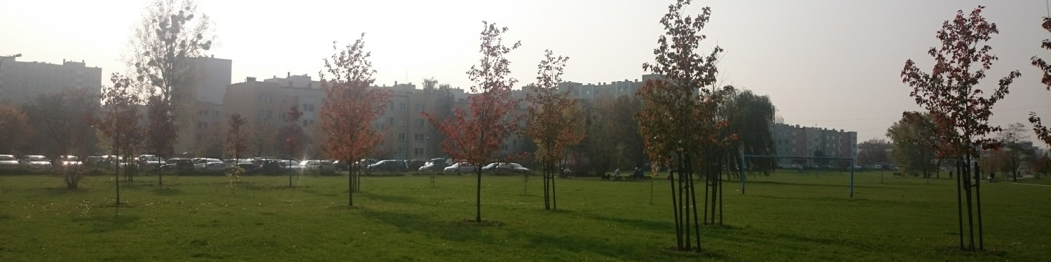 foto1